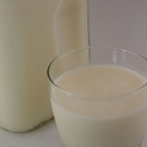 Cow's Milk