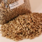Sunflower Seeds (12 OZ)